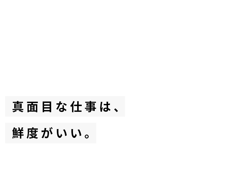 真面目な仕事は、鮮度がいい。